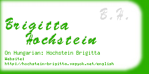 brigitta hochstein business card